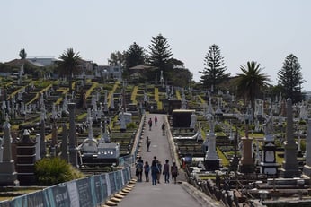 Bondi to Coogee Walk