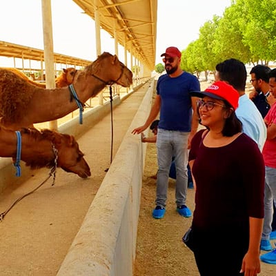 Understanding the Global Camel Milk Market – Postgraduate Students Visit Camelicious, UAE
